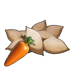 Carrot Seeds